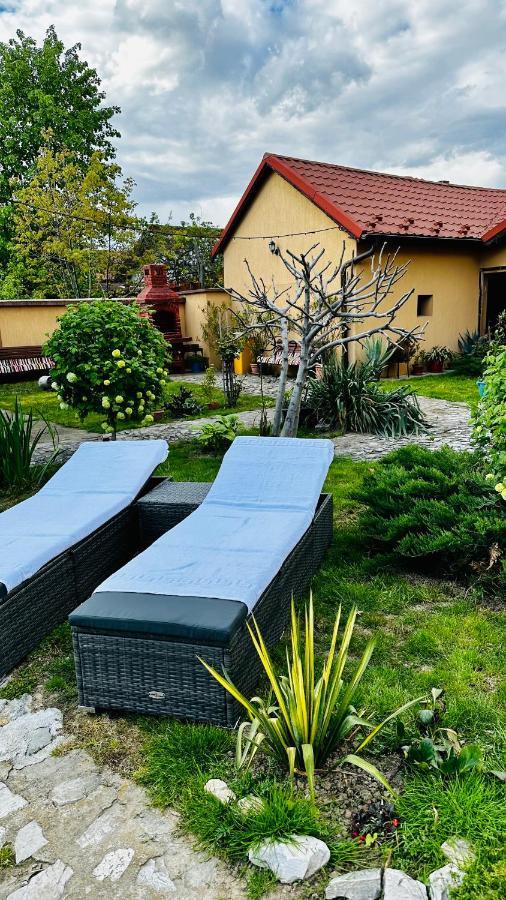 Leto House Leilighet Târgu Jiu Eksteriør bilde